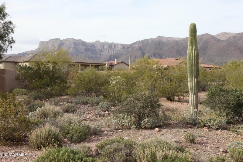 10584 Walking Stick Way #4, Gold Canyon, AZ 85118