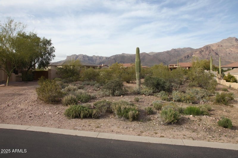 10584 Walking Stick Way #4, Gold Canyon, AZ 85118