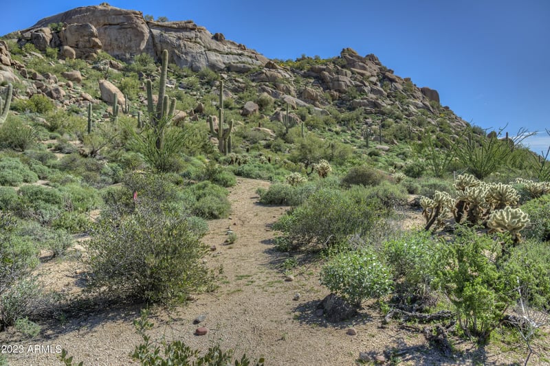 10585 Crescent Moon Dr #45, Scottsdale, AZ 85262