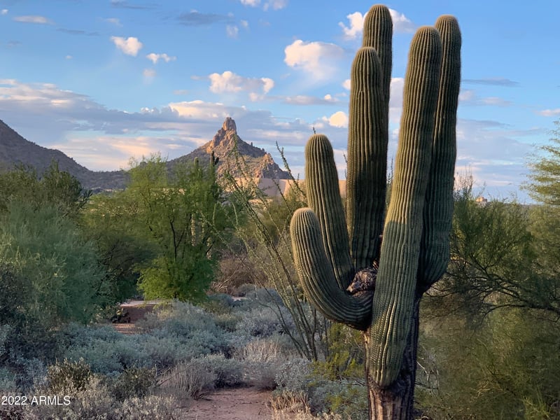 10590 Pinnacle Peak Rd #5, Scottsdale, AZ 85255
