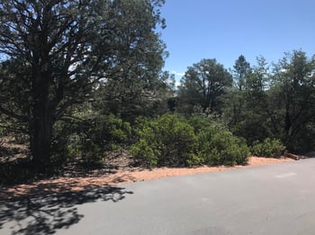 106 Feather Plume Cir #607, Payson, AZ 85541