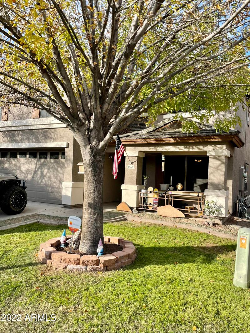1060 E Palomino Way, San Tan Valley, AZ 85143