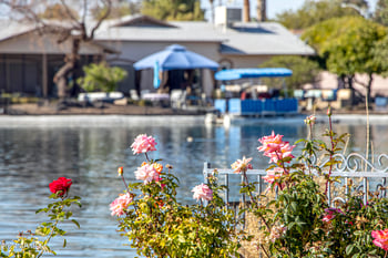 10601 Bayside Rd, Sun City, AZ 85351