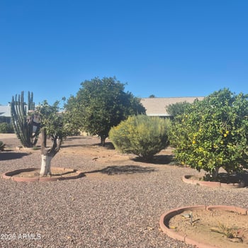 10618 Caron Dr, Sun, AZ 85351