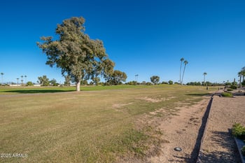 10632 Brookside Dr, Sun City, AZ 85351