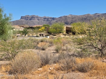 10667 Walking Stick Way #21, Gold Canyon, AZ 85118