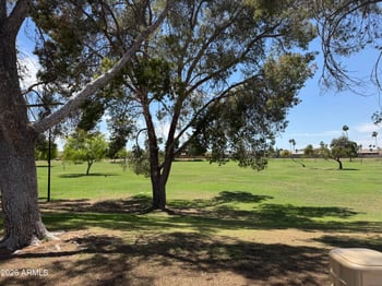 1068 Medina Ave, Mesa, AZ 85210