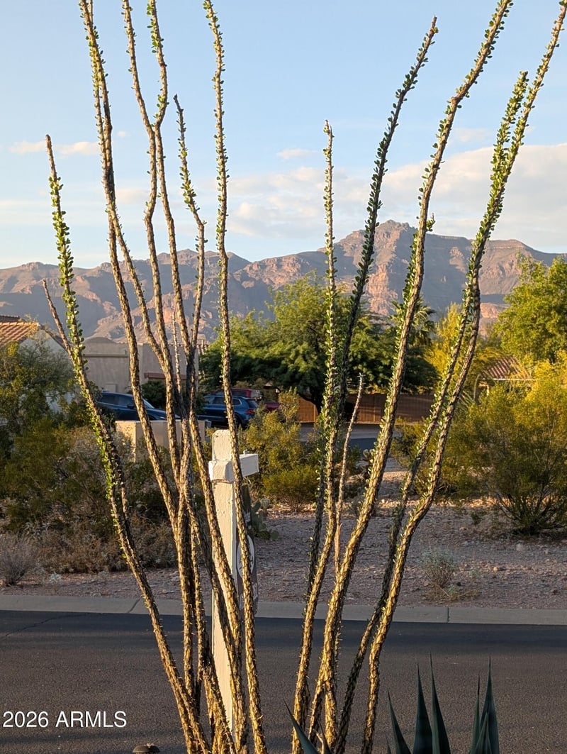 10691 E Surveyor Ct, Gold Canyon, AZ 85118