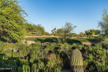 10699 Fernwood Ln, Scottsdale, AZ 85262