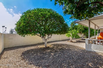 10701 El Capitan Cir, Sun City, AZ 85351