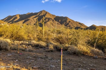 10713 Wingspan Way #1655, Scottsdale, AZ 85255