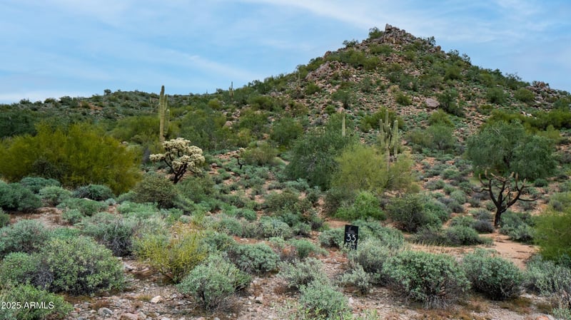 10795 Copa De Oro Ln #33, Gold Canyon, AZ 85118