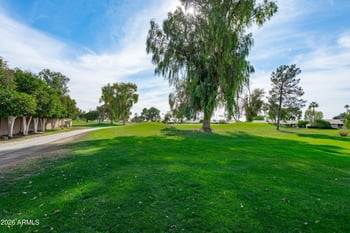 10802 Cumberland Dr, Sun City, AZ 85351