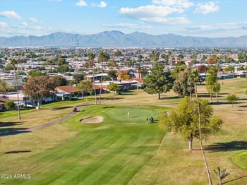 10806 Cameo Dr, Sun City, AZ 85351