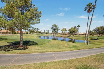 10806 Navajo Dr, Sun Lakes, AZ 85248