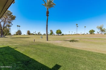 10814 Cameo Dr, Sun City, AZ 85351
