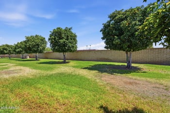 10819 Cameo Dr, Sun City, AZ 85351