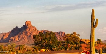 10820 Buffalo Dr #7, Fountain Hills, AZ 85268