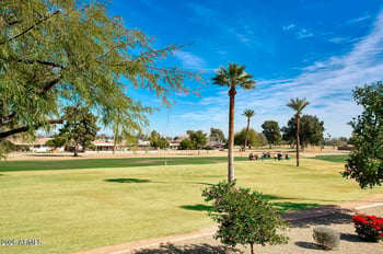 10820 Fairway Ct #218, Sun City, AZ 85351