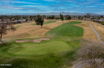 10821 Pineaire Dr, Sun, AZ 85351