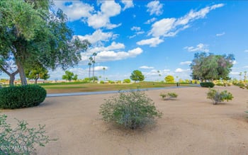 10822 Mimosa Dr, Sun City, AZ 85373
