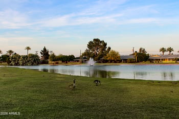 10825 Hope Dr, Sun City, AZ 85351