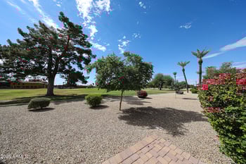 10829 Fairway Ct #106, Sun City, AZ 85351