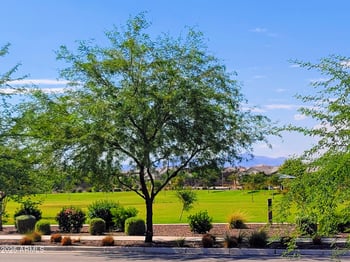 10830 Hadley St, Avondale, AZ 85323
