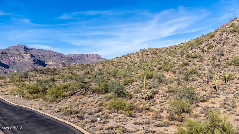 10831 Copa Del Oro Ln #32, Gold Canyon, AZ 85118