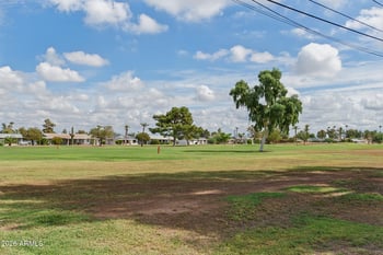 10842 W Abbott Ave, Sun City, AZ 85351