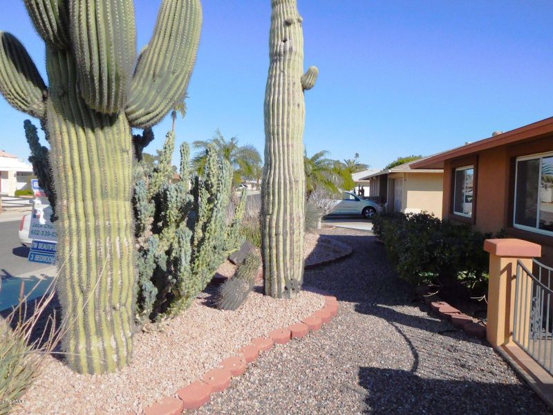 10845 W Brookside Dr, Sun City, AZ 85351