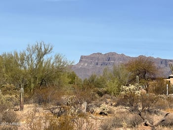 10849 Palm Way #33, Gold Canyon, AZ 85118