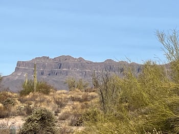 10849 Palm Way #33, Gold Canyon, AZ 85118