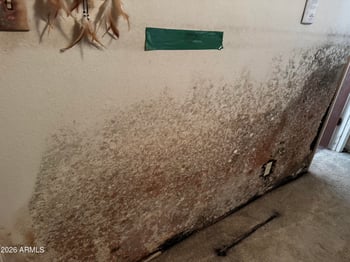 10856 Oakmont Dr, Sun City, AZ 85351