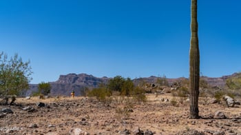 10879 Copa Del Oro Ln 4 Lot S, Gold Canyon, AZ 85118