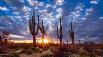 10880 Coggins Dr, Sun City, AZ 85351