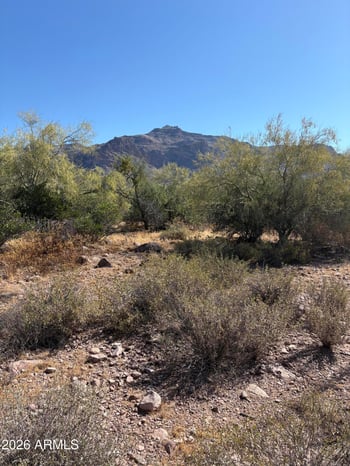 10890 Cactus View Cir #9, Gold Canyon, AZ 85118
