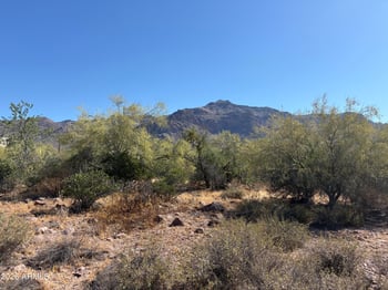 10890 Cactus View Cir #9, Gold Canyon, AZ 85118
