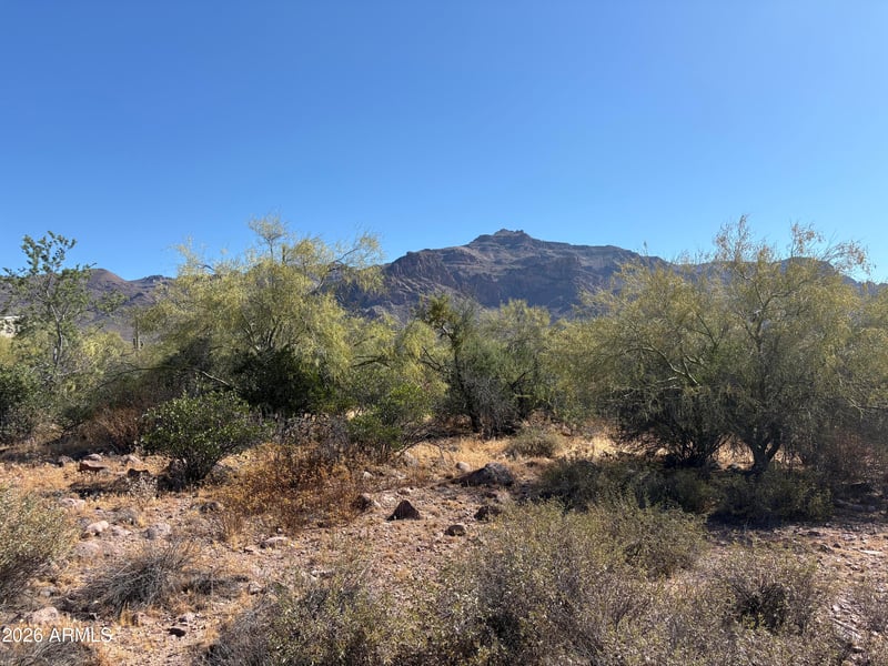 10890 Cactus View Cir #9, Gold Canyon, AZ 85118