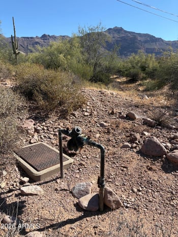10890 Cactus View Cir #9, Gold Canyon, AZ 85118