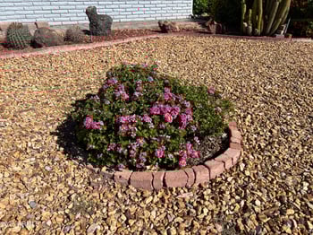 10902 Brookside Dr, Sun, AZ 85351