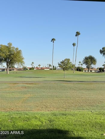 10904 Cameo Dr, Sun City, AZ 85351