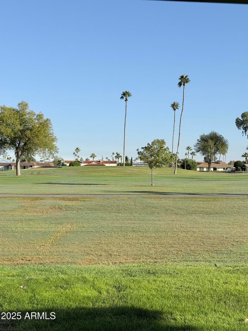 10904 Cameo Dr, Sun City, AZ 85351