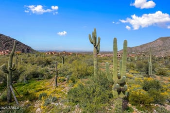 10927 Windgate Pass Dr #1519, Scottsdale, AZ 85255