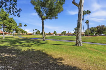 10933 Chestnut Dr, Sun Lakes, AZ 85248