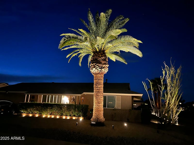 11002 Salem Dr, Sun City, AZ 85351