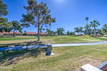 11005 Spring Creek Rd, Sun Lakes, AZ 85248