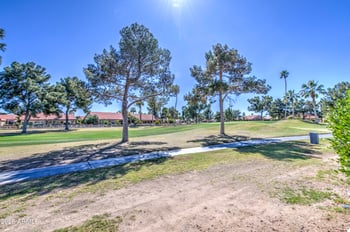 11005 Spring Creek Rd, Sun Lakes, AZ 85248