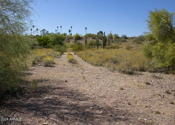 11008 Appian Way #1A, Fountain Hills, AZ 85268
