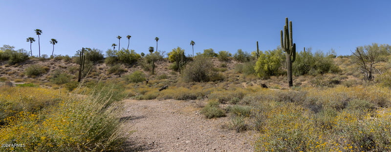 11008 Appian Way #1A, Fountain Hills, AZ 85268
